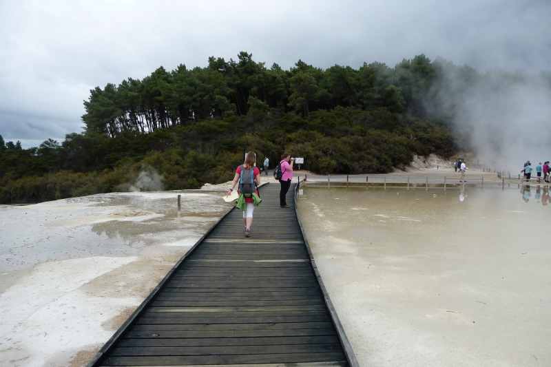 Nieuw-Zeeland 2011 - 0762